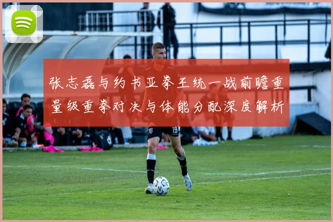 张志磊与约书亚拳王统一战前瞻重量级重拳对决与体能分配深度解析